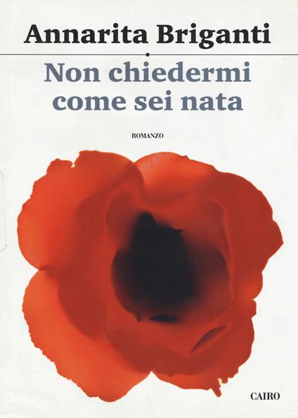 Non chiedermi come sei nata - Annarita Briganti - copertina