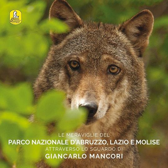 Le meraviglie del parco nazionale d'Abruzzo, Lazio e Molise attraverso lo sguardo di Giancarlo Mancori. Ediz. multilingue - copertina