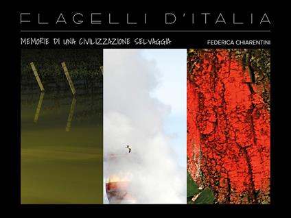 Flagelli d'Italia: memorie di una civilizzazione selvaggia - Federica Chiarentini - copertina