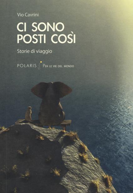 Ci sono posti così. Storie di viaggio - Vio Cavrini - copertina