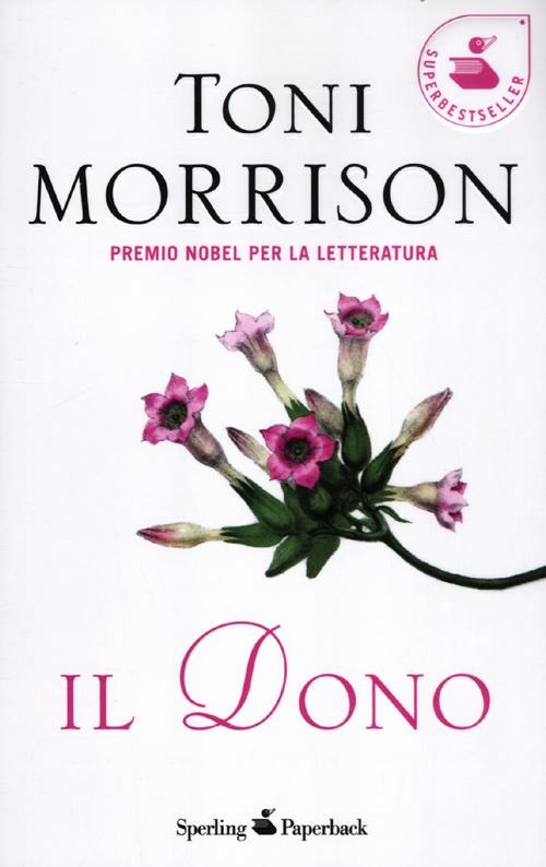 Libreria Postumia