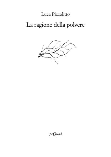 La ragione della polvere - Luca Pizzolitto - copertina