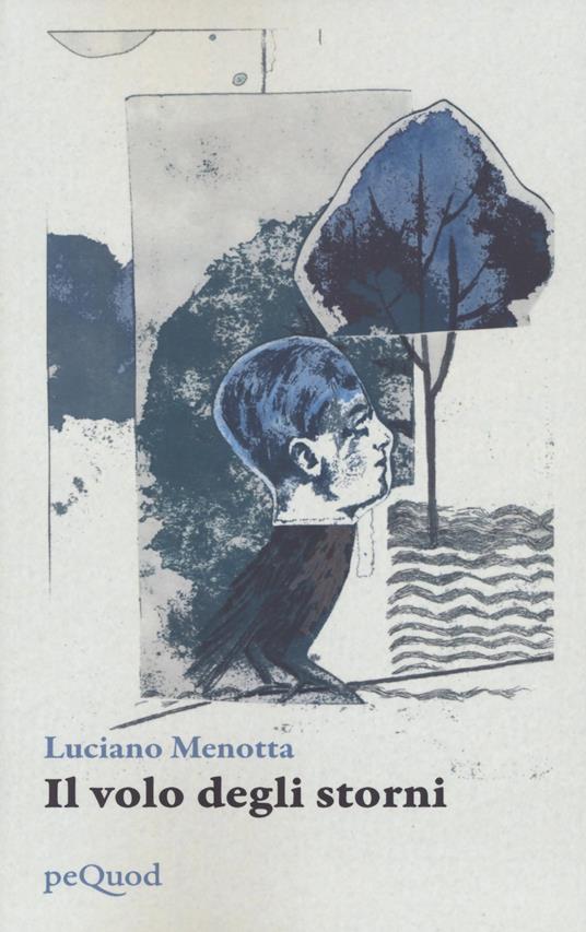Il volo degli storni - Luciano Menotta - copertina