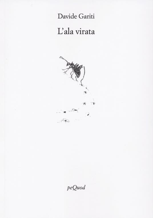 L'ala virata - Davide Gariti - copertina