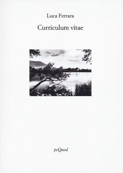 Curriculum vitae - Luca Ferrara - copertina