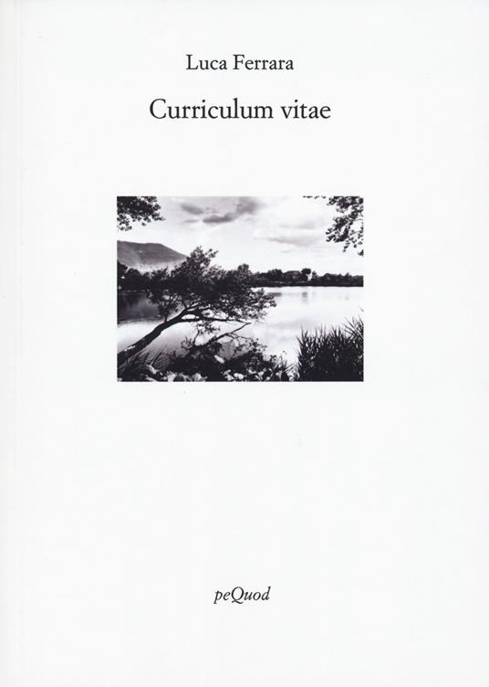 Curriculum vitae - Luca Ferrara - copertina