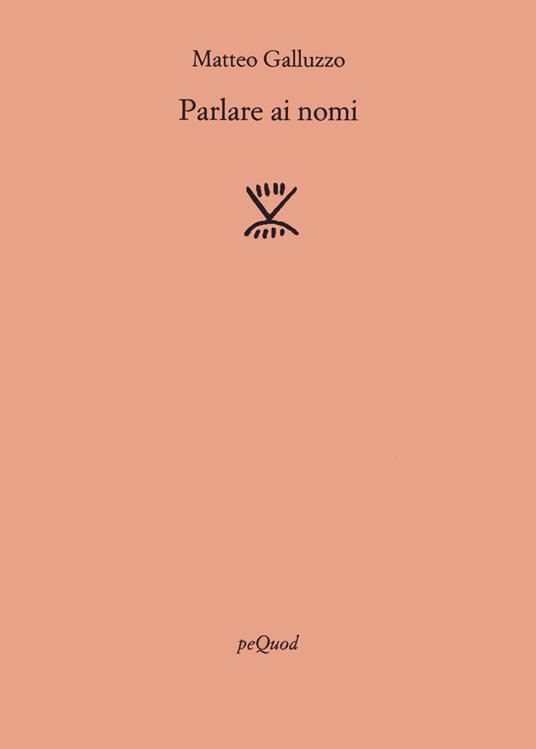 Parlare ai nomi - Matteo Galluzzo - copertina