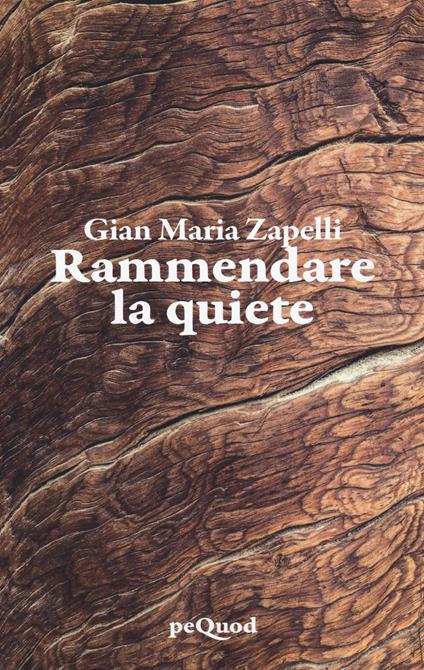 Rammendare la quiete - Gian Maria Zapelli - copertina