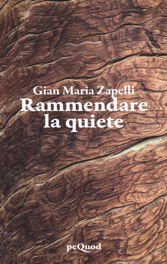 Rammendare la quiete - Gian Maria Zapelli - copertina