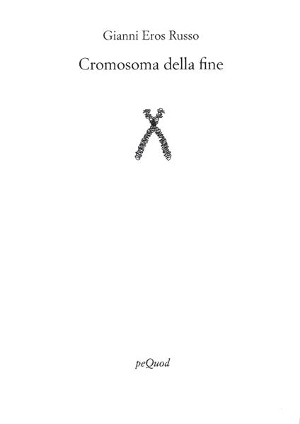 Cromosoma della fine - Gianni Eros Russo - copertina