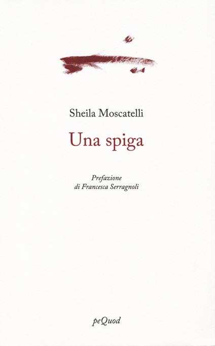 Una spiga - Sheila Moscatelli - copertina