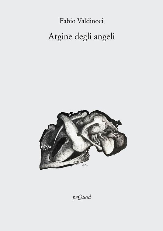Argine degli angeli - Fabio Valdinoci - copertina