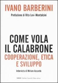 Come vola il calabrone. Cooperazione, etica e sviluppo - Ivano Barberini,Miriam Accardo - copertina
