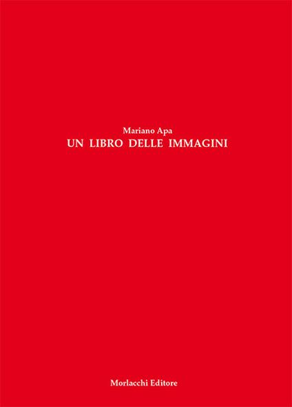 Un libro delle immagini - Mariano Apa - copertina