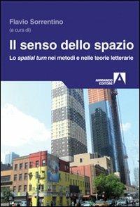 Il senso dello spazio. Lo spatial turn nei metodi e nelle teorie letterarie - copertina