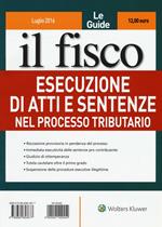 Esecuzione di atti e sentenze nel processo tributario