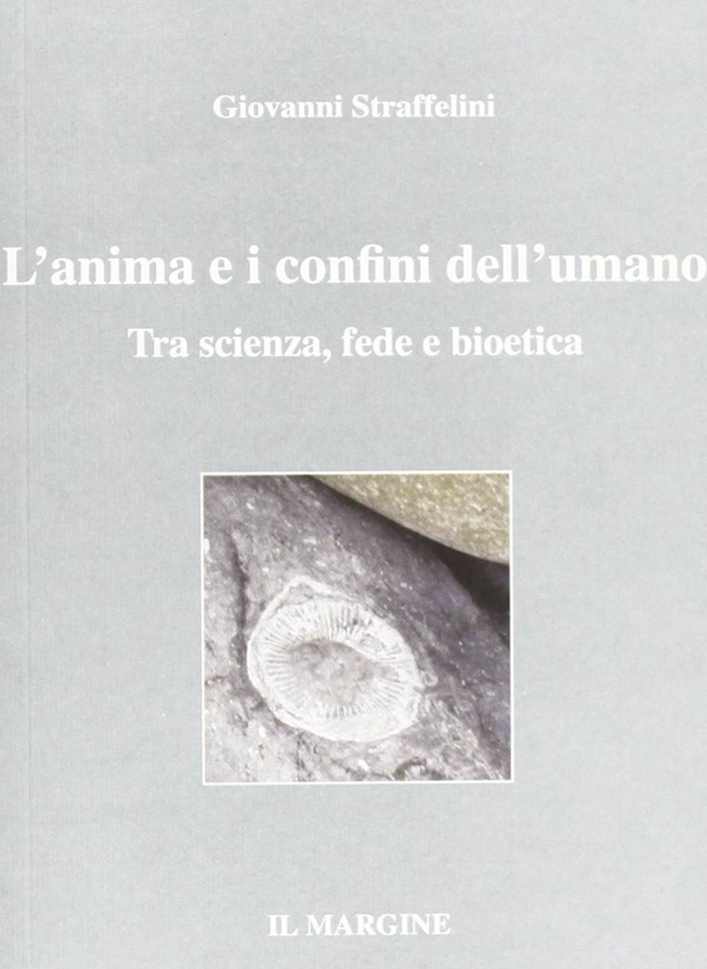 IL PAPIRO