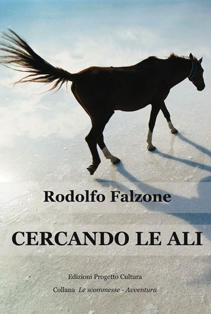 Cercando le ali - Rodolfo Falzone - ebook