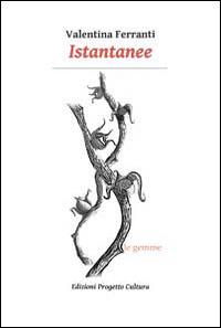 Istantanee - Valentina Ferranti - copertina