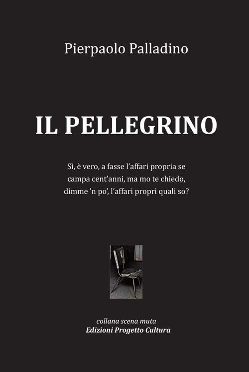 Il pellegrino - Pierpaolo Palladino - copertina