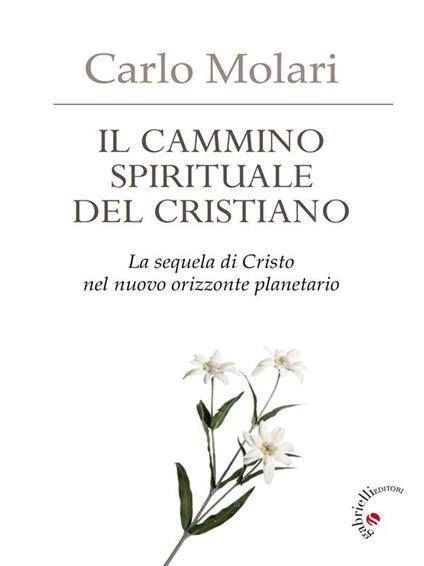 Il Cammino spirituale del cristiano. La sequela di Cristo nel nuovo orizzonte planetario - Carlo Molari - ebook