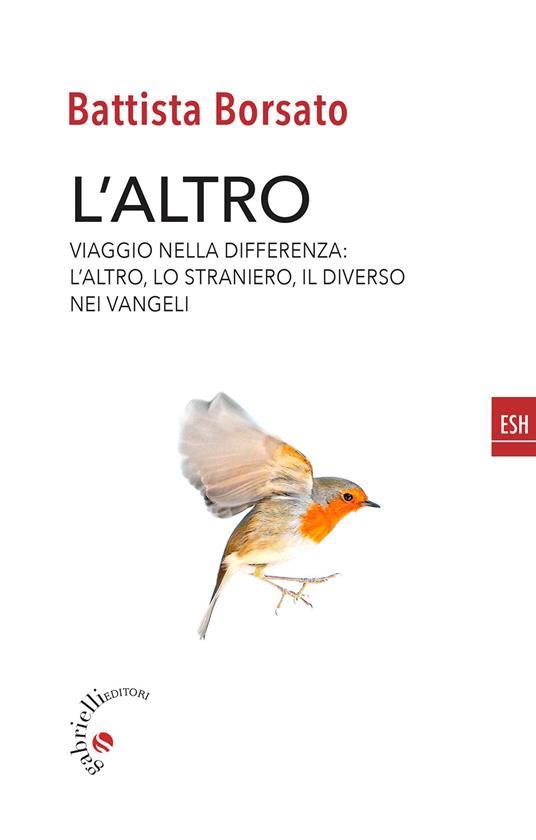 L'altro. Viaggio nella differenza. L'altro, il diverso, lo straniero nei Vangeli - Battista Borsato - copertina