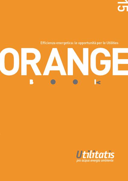 Orange book 2015. Efficienza energetica: le opportunità per le Utilities - Emanuele Bulgherini,Claudio Di Mario,Marco Pezzaglia - copertina