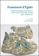 Frammenti d'Egitto. Progetti di catalogazione, provenienza, studio e valorizzazione delle antichità egizie ed egittizzandi