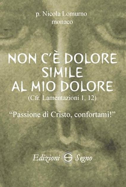 Non c'è dolore simile al mio dolore - Nicola Lomurno - copertina