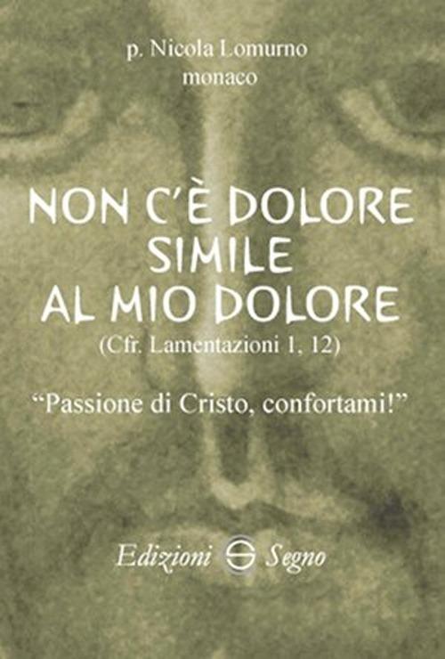 Non c'è dolore simile al mio dolore - Nicola Lomurno - copertina