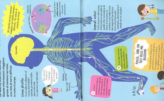 Il mio primo libro del corpo umano. Ediz. a colori. Con Poster - Clive Gifford - 4