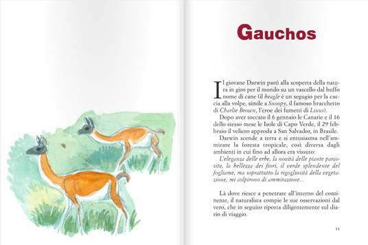 Sulla rotta di Darwin - Fulco Pratesi - 3