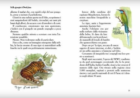 Nella giungla di Sandokan  - Fulco Pratesi - 4