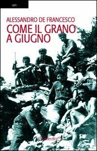 Come il grano a giugno - Alessandro De Francesco - copertina
