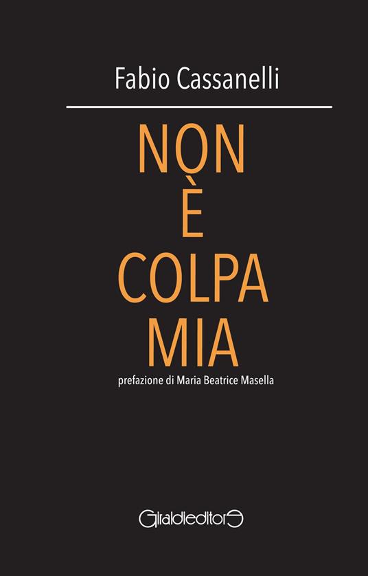 Non è colpa mia - Fabio Cassanelli - copertina