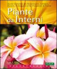 Libraccio