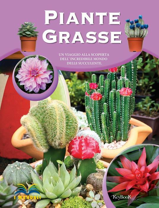 Piante grasse - copertina