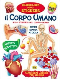 ibs