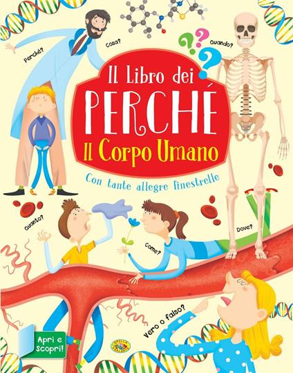 Il corpo umano. Il libro dei perché. Ediz. a colori - copertina