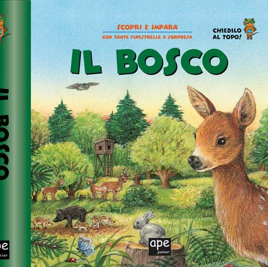 Il bosco - copertina