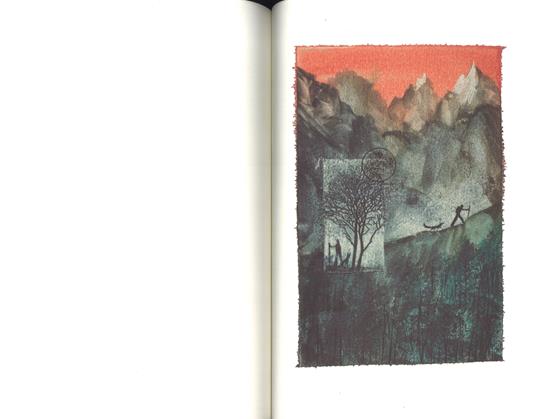 Il ragazzo selvatico. Quaderno di montagna. Ediz. a colori - Paolo Cognetti - 5