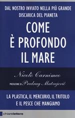 Come è profondo il mare. La plastica, il mercurio, il tritolo e il pesce che mangiamo