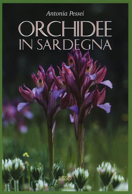 Orchidee in Sardegna. Ediz. a colori - Antonia Pessei - copertina