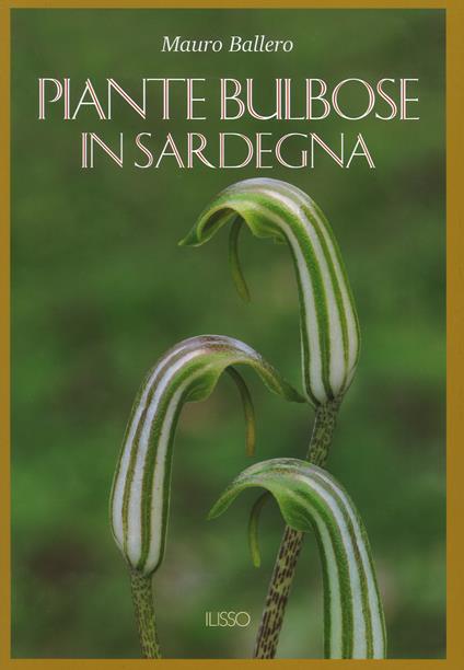 Piante bulbose in Sardegna. Ediz. a colori - Mauro Ballero - copertina