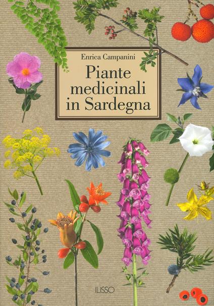 Piante medicinali in Sardegna. Ediz. illustrata - Enrica Campanini - copertina