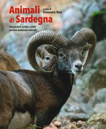Animali di Sardegna. Mammiferi, anfibi e rettili nel loro ambiente naturale. Ediz. illustrata - copertina