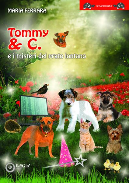 Tommy & C. e i misteri del prato lontano - Maria Ferrara - copertina