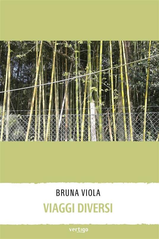 Viaggi diversi - Bruna Viola - ebook