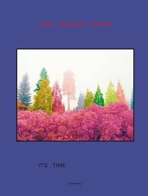 It's time. Ediz. illustrata - David B. Sherry - copertina