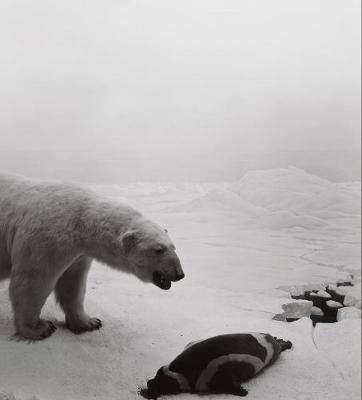 Hiroshi Sugimoto: dioramas - Hiroshi Sugimoto - copertina